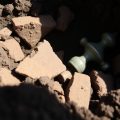 Artefacte arheologice antice descoperite în România